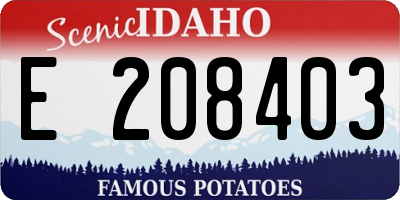 ID license plate E208403