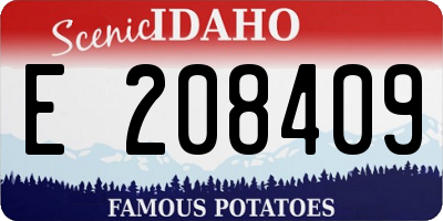 ID license plate E208409