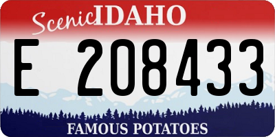 ID license plate E208433