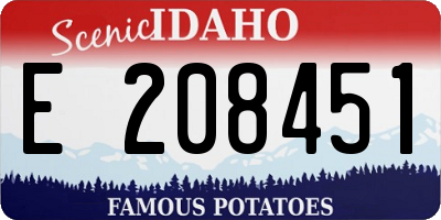 ID license plate E208451