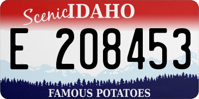 ID license plate E208453