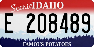 ID license plate E208489