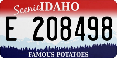 ID license plate E208498
