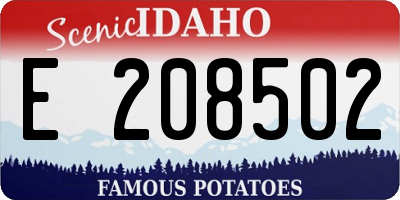 ID license plate E208502