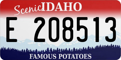 ID license plate E208513