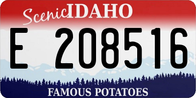 ID license plate E208516