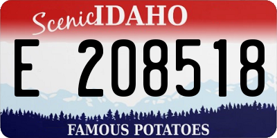 ID license plate E208518