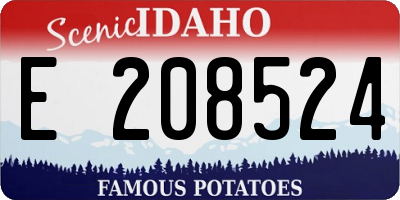 ID license plate E208524
