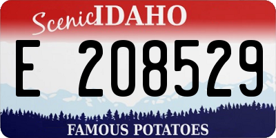 ID license plate E208529