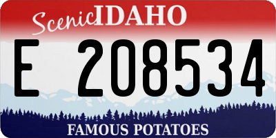 ID license plate E208534