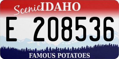 ID license plate E208536