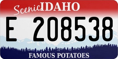 ID license plate E208538