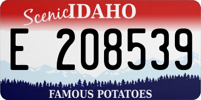 ID license plate E208539