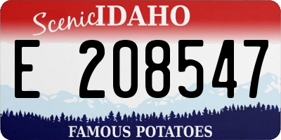 ID license plate E208547