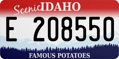 ID license plate E208550