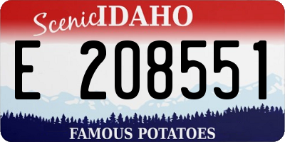 ID license plate E208551