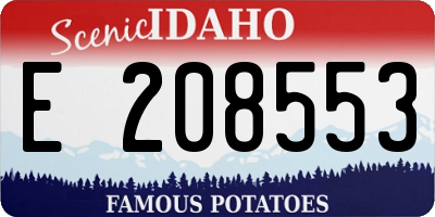 ID license plate E208553