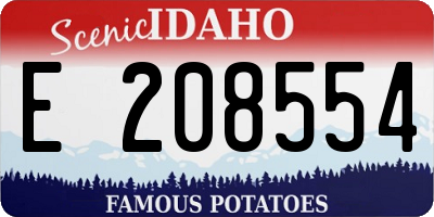 ID license plate E208554