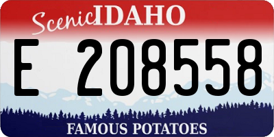 ID license plate E208558