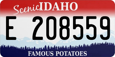 ID license plate E208559