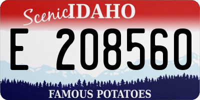 ID license plate E208560