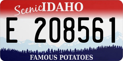 ID license plate E208561