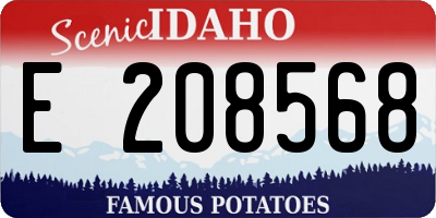 ID license plate E208568