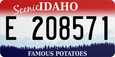 ID license plate E208571