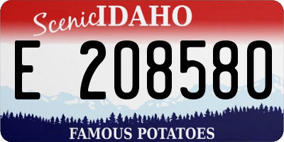 ID license plate E208580