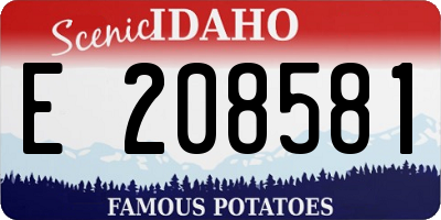 ID license plate E208581