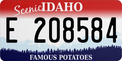 ID license plate E208584