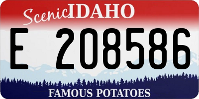 ID license plate E208586