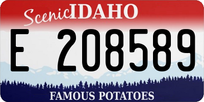 ID license plate E208589