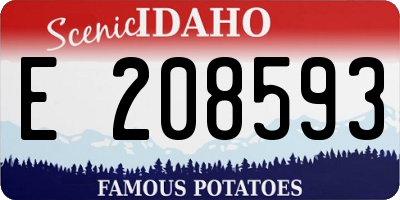 ID license plate E208593