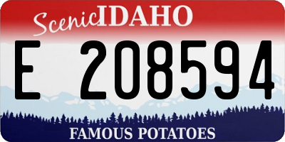 ID license plate E208594