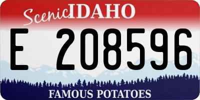 ID license plate E208596