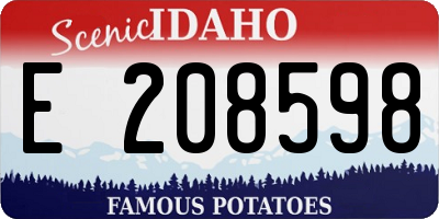 ID license plate E208598