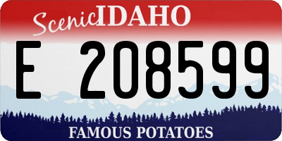 ID license plate E208599