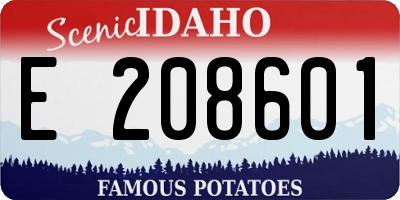 ID license plate E208601