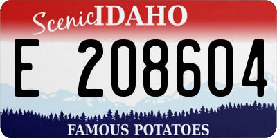 ID license plate E208604
