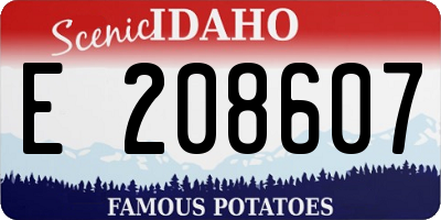 ID license plate E208607