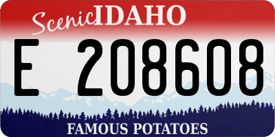ID license plate E208608