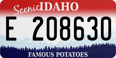 ID license plate E208630