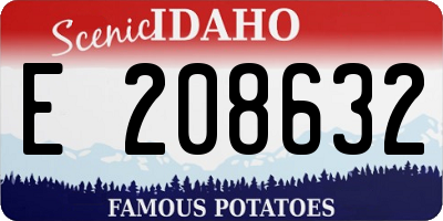 ID license plate E208632