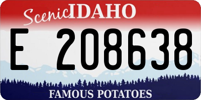 ID license plate E208638