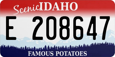 ID license plate E208647