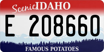 ID license plate E208660