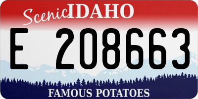 ID license plate E208663