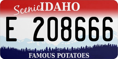 ID license plate E208666