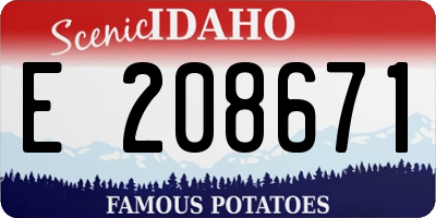 ID license plate E208671